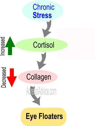 adrenal fatigue eye floaters