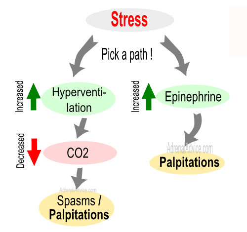 adrenal fatigue palpitations