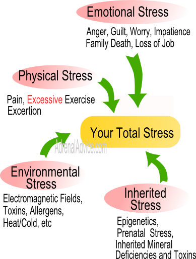 causes of adrenal fatigue