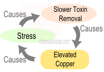 copper adrenal fatigue