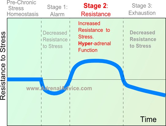 stage 2 adrenal fatigue