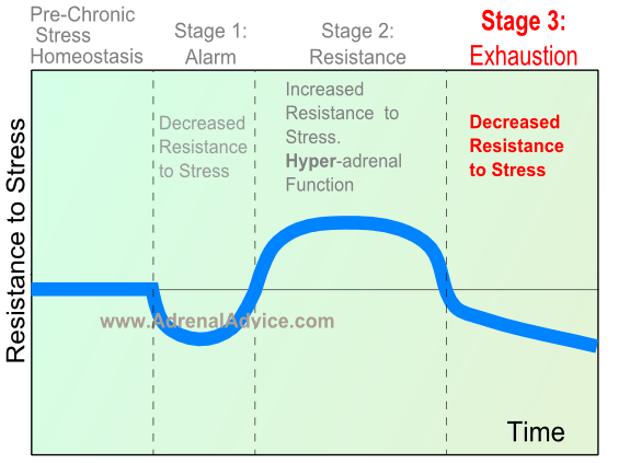 stage 3 adrenal fatigue