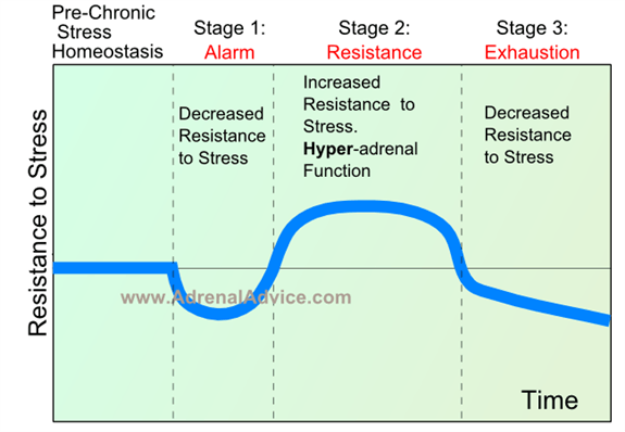 stages of adrenal fatigue