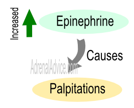 adrenal fatigue palpitations