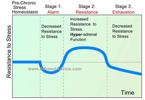 general adaptation syndrome